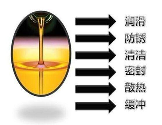 1635577560188663.jpg a044ad345982b2b79c2e4d9f6c874ee977099bec_副本.jpg